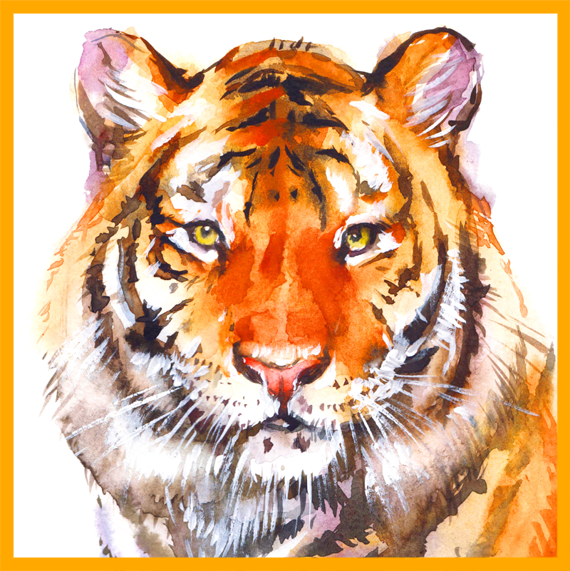 Tiger Bay Club Logo (Illustration of Tiger)